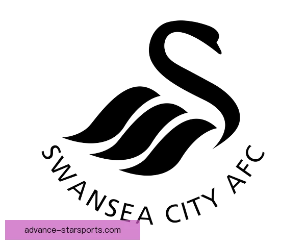 斯旺西俱乐部：英格兰足球的崛起之路与未来发展展望